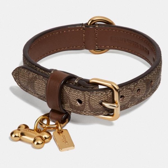 coach dog collar small